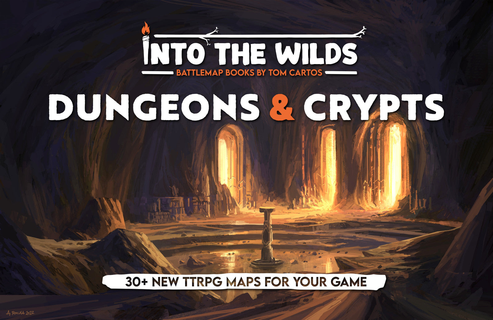 Into the Wilds Battlemap Books Dungeons and Crypts (Do not sell on Amazon)