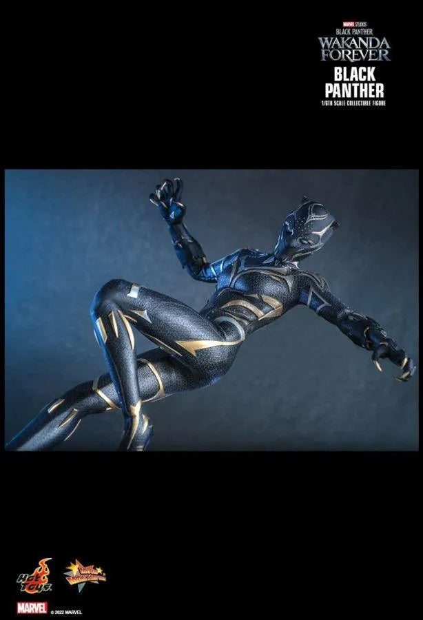 HOTMMS675 Black Panther 2: Wakanda Forever - Black Panther 1:6 Scale Figure - Hot Toys - Titan Pop Culture