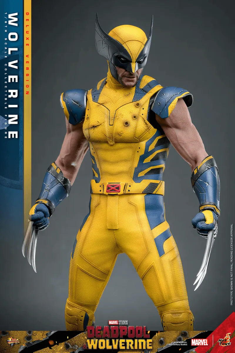 HOTMMS754 Deadpool & Wolverine - Wolverine Deluxe 1:6 Figure - Hot Toys - Titan Pop Culture
