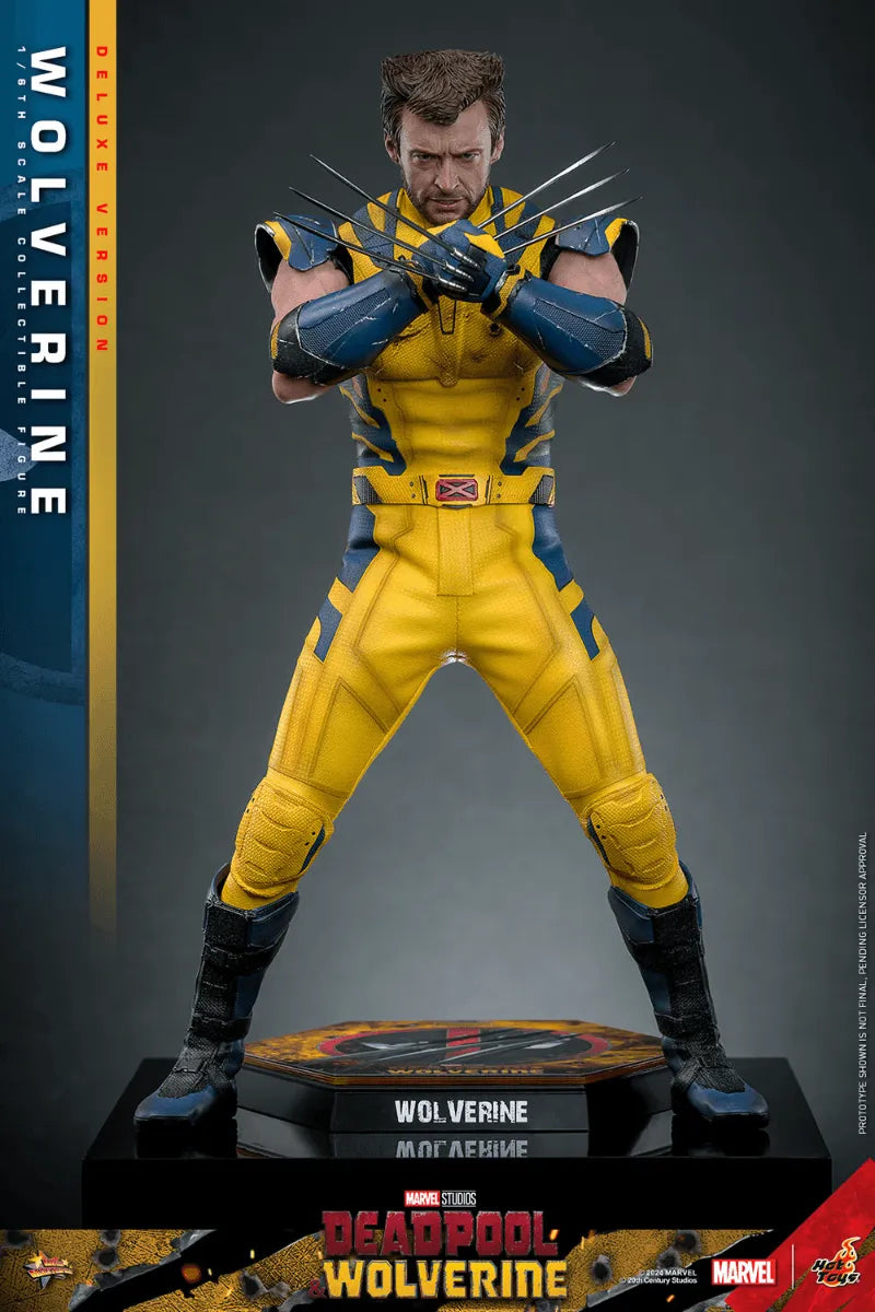 HOTMMS754 Deadpool & Wolverine - Wolverine Deluxe 1:6 Figure - Hot Toys - Titan Pop Culture