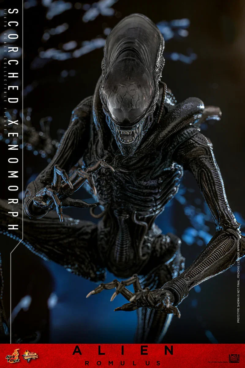 Alien: Romulus - Scorched Xenomorph 1:6 Scale Collectable Action Figure