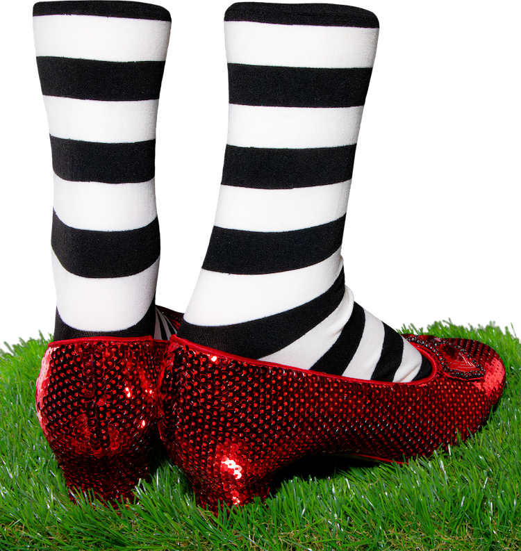Wizard of Oz - Dorothy and Wicked Witch's Replica Ruby Slippers