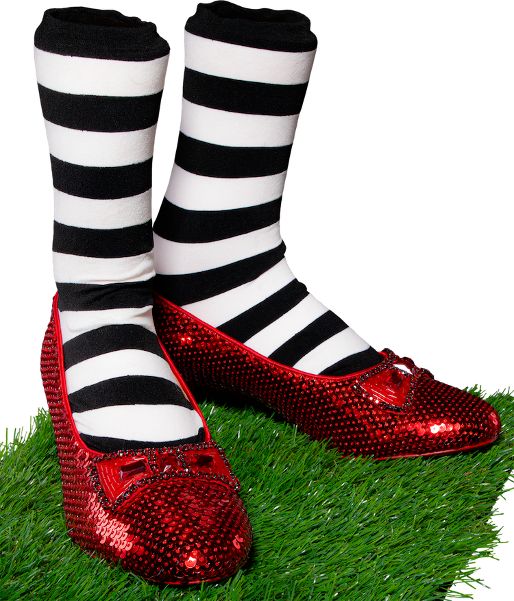 Wizard of Oz - Dorothy and Wicked Witch's Replica Ruby Slippers