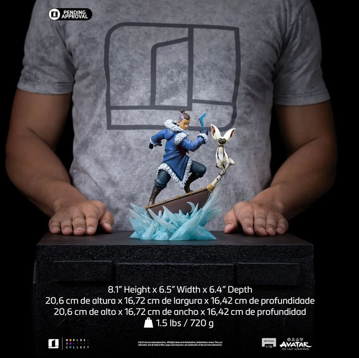 Avatar: La leyenda de Aang - Estatua de Sokka a escala 1:10