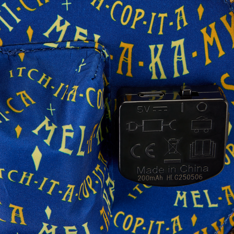 Hocus Pocus – Bolso cruzado domo volador Hermanas Sanderson