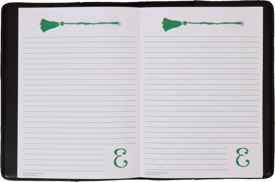 Wicked (2024) - Elphaba Diary Journal