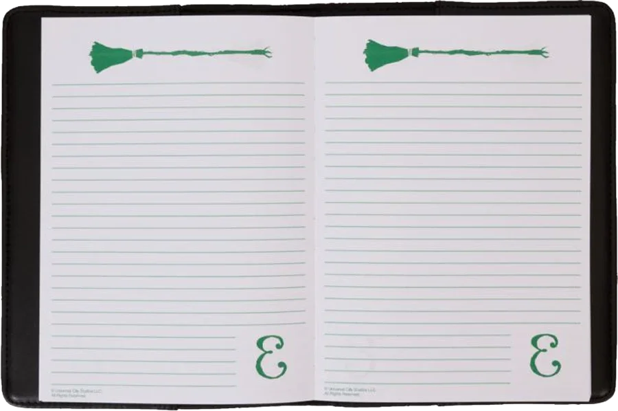 Wicked (2024) - Diario de Elphaba