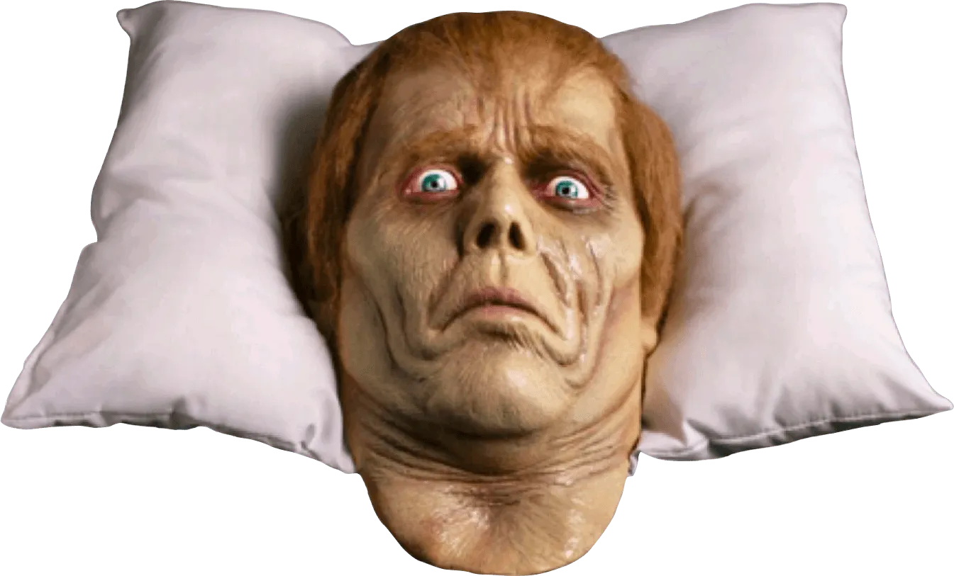 TTSTTRL120 Dawn of the Dead - Roger Pillow Pal - Trick or Treat Studios - Titan Pop Culture