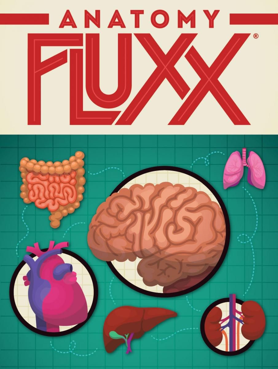 VR-55550 Anatomy Fluxx - Looney Labs - Titan Pop Culture
