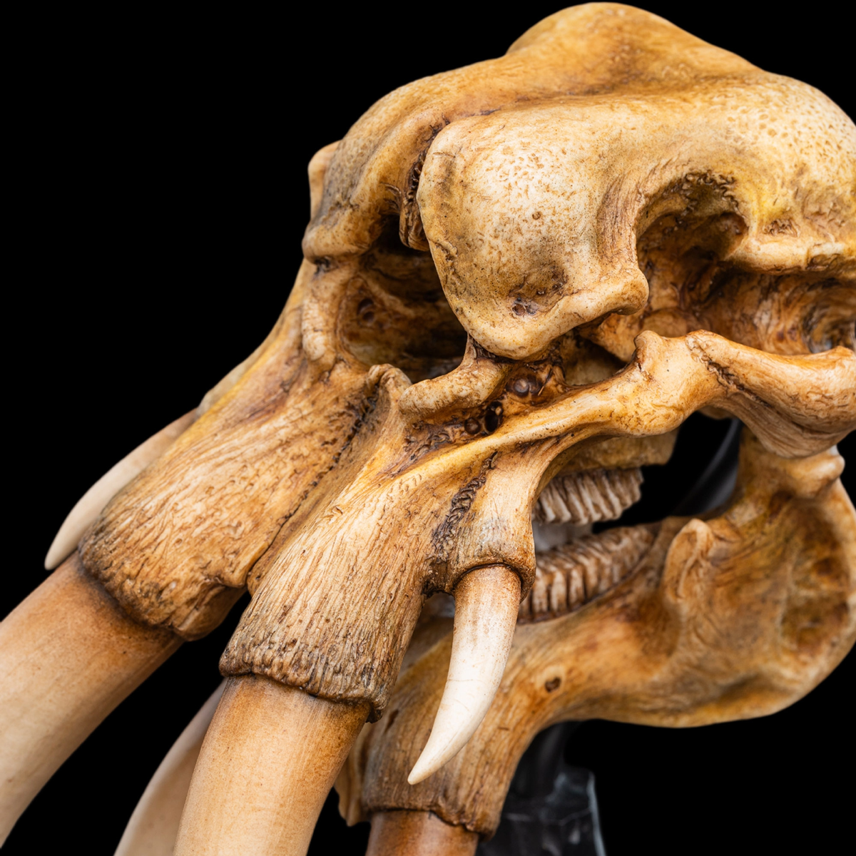 The Lord of the Rings - Skull of A Mumak SDCC 2025 Miniature Statue