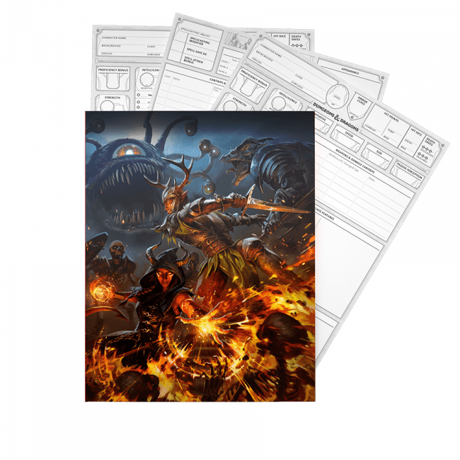 27646 D&D Dungeons & Dragons Character Sheets 2024 - Wizards of the Coast - Titan Pop Culture