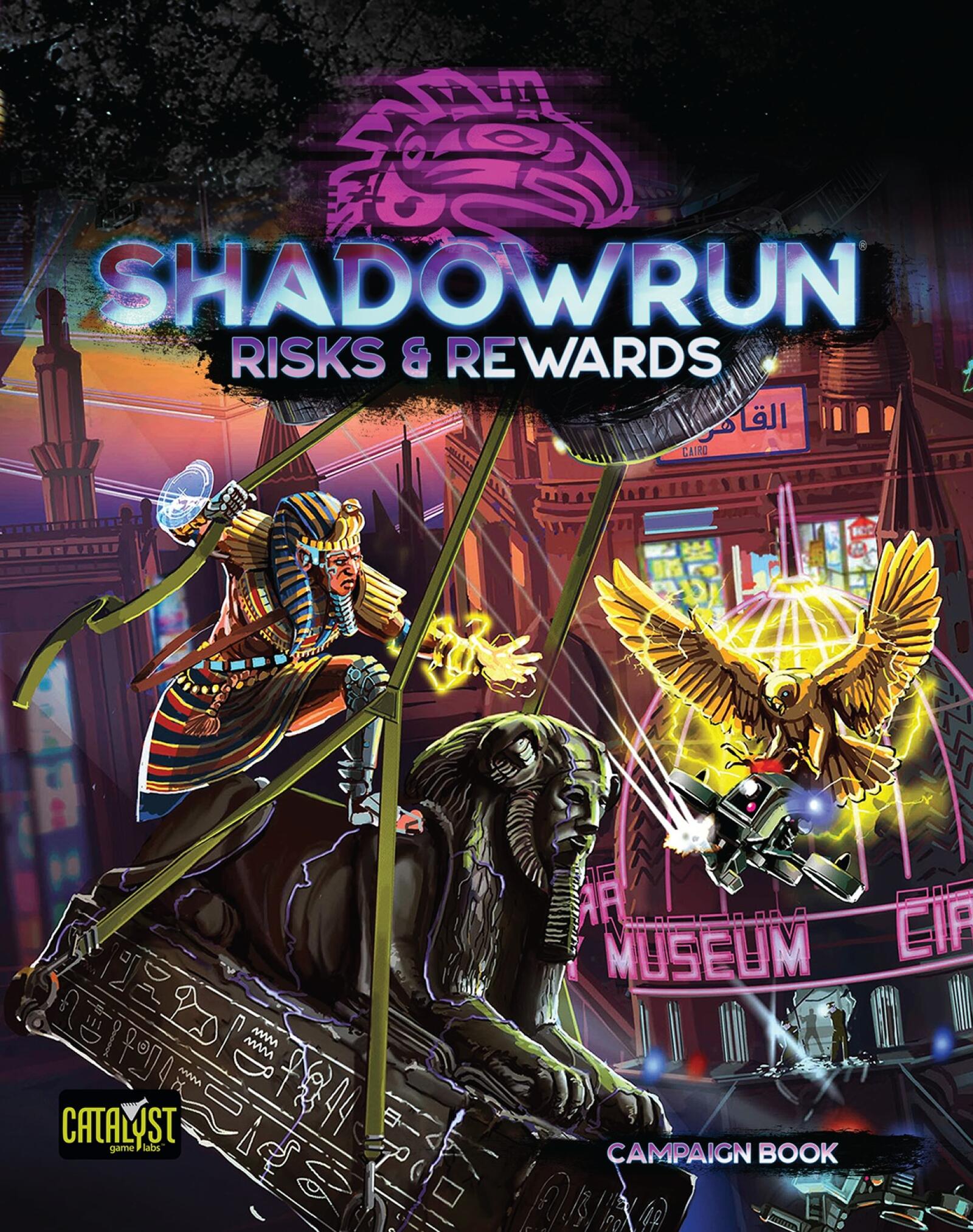 Shadowrun Risks & Rewards