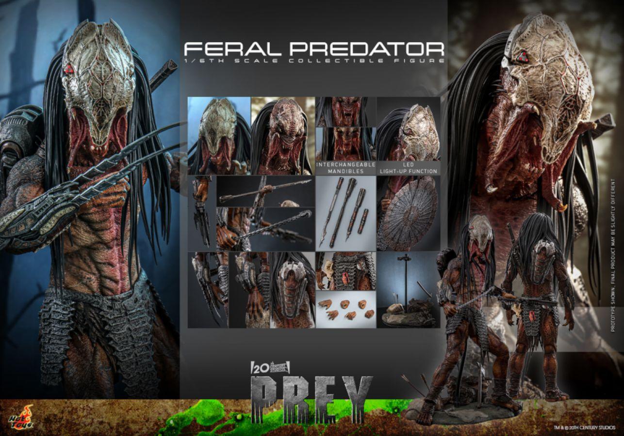 HOTTMS114 Prey - Feral Predator 1:6 Scale Collectable Figure - Hot Toys - Titan Pop Culture