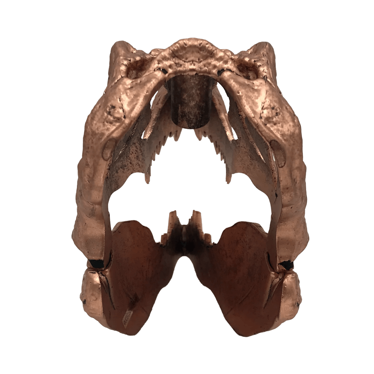 FAC408902 Jurassic Park - T-Rex Skull Scaled Prop Replica - Factory Entertainment - Titan Pop Culture