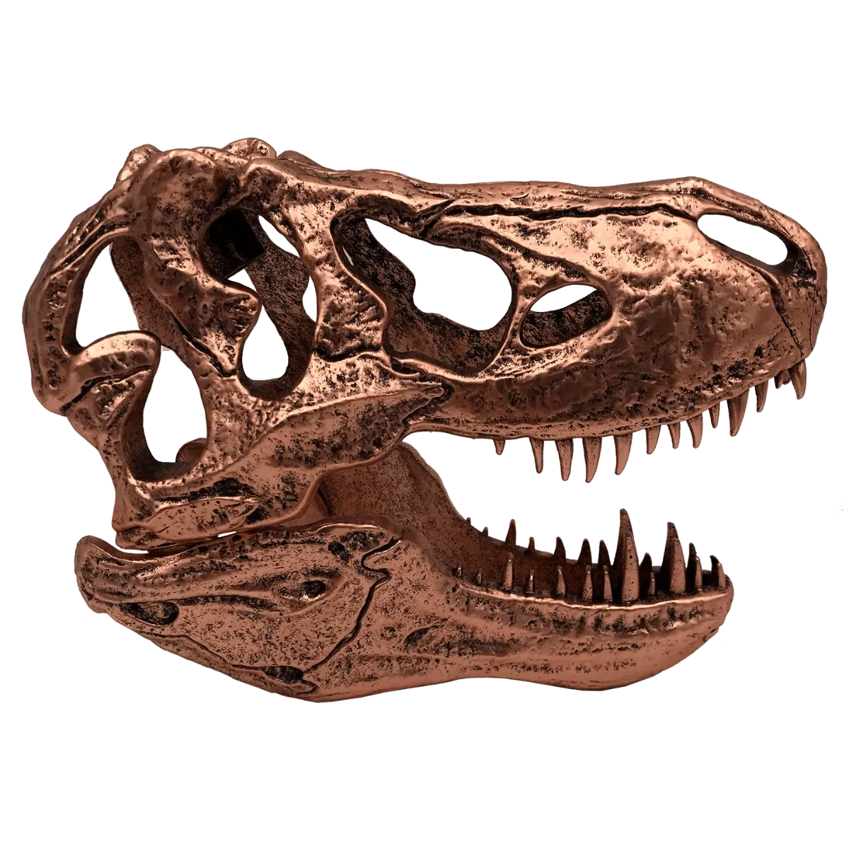 FAC408902 Jurassic Park - T-Rex Skull Scaled Prop Replica - Factory Entertainment - Titan Pop Culture