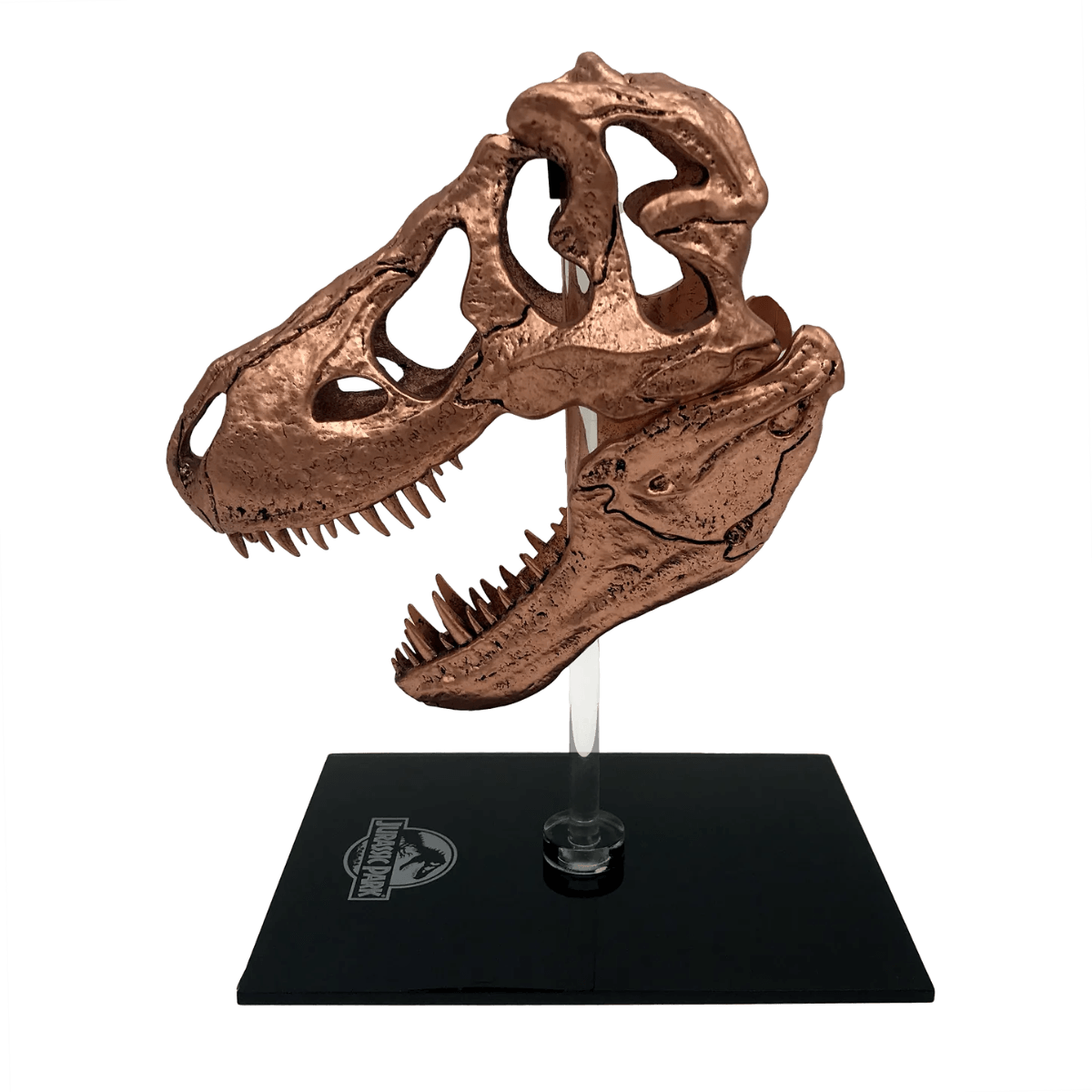 FAC408902 Jurassic Park - T-Rex Skull Scaled Prop Replica - Factory Entertainment - Titan Pop Culture