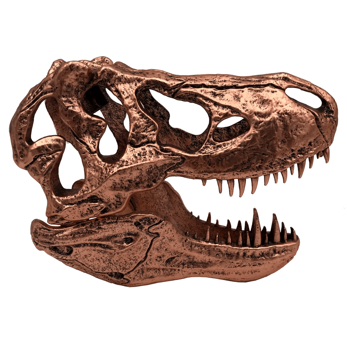 FAC408902 Jurassic Park - T-Rex Skull Scaled Prop Replica - Factory Entertainment - Titan Pop Culture