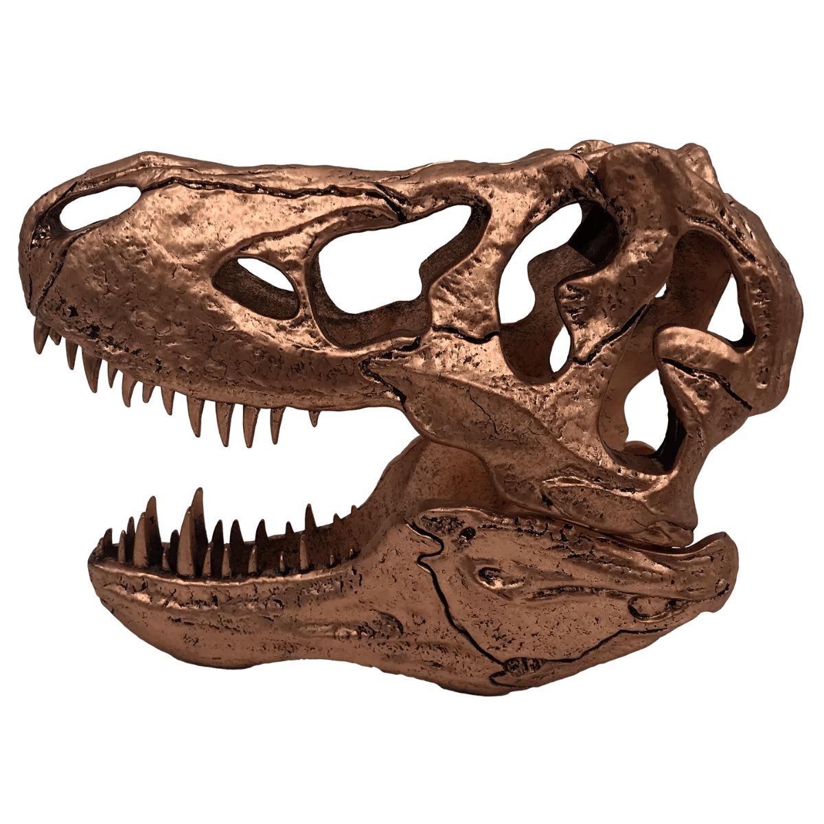 FAC408902 Jurassic Park - T-Rex Skull Scaled Prop Replica - Factory Entertainment - Titan Pop Culture