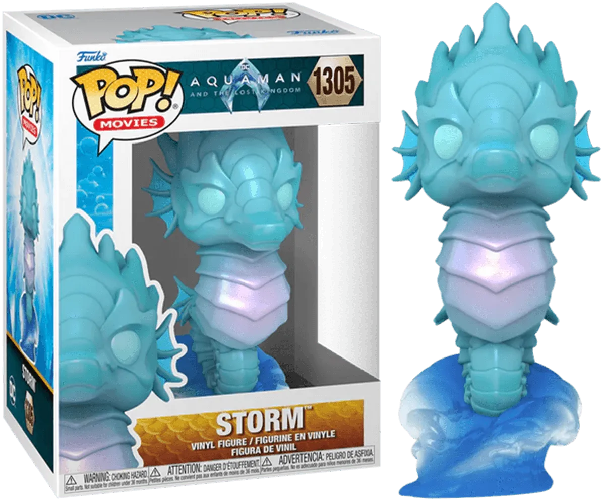 FUN67569 Aquaman and the Lost Kingdom - Storm Pop! Vinyl - Funko - Titan Pop Culture