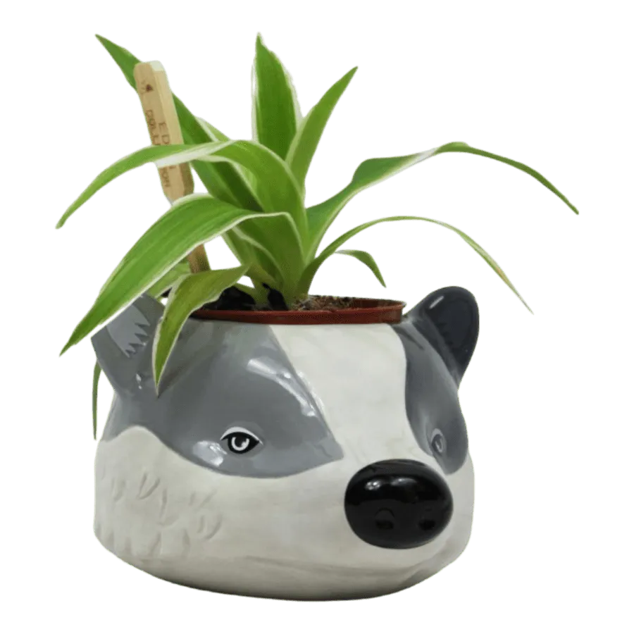 HMBPLNTHP02 Harry Potter - Hufflepuff Plant Pot - Half Moon Bay - Titan Pop Culture