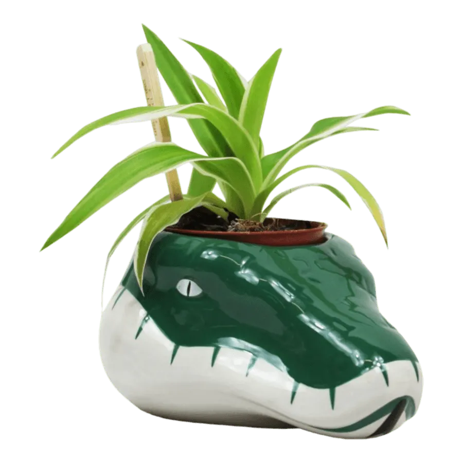 HMBPLNTHP03 Harry Potter - Slytherin Plant Pot - Half Moon Bay - Titan Pop Culture