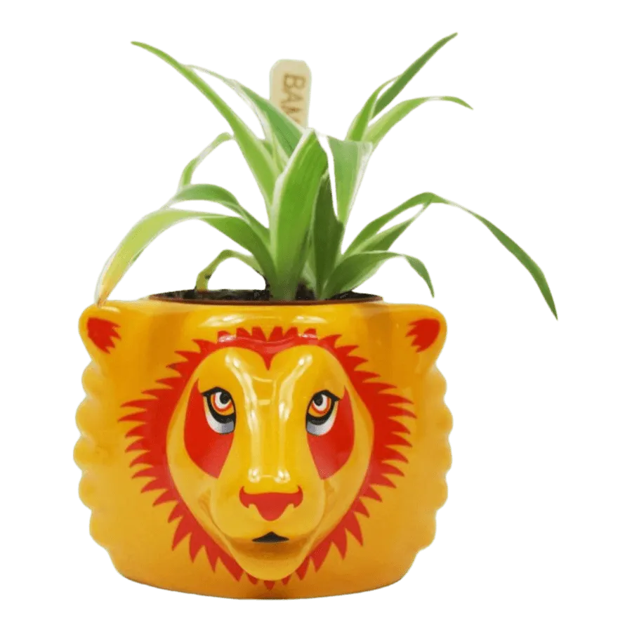 HMBPLNTHP04 Harry Potter - Gryffindor Plant Pot - Half Moon Bay - Titan Pop Culture