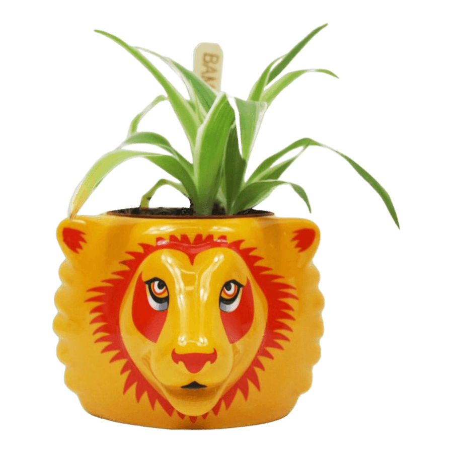 HMBPLNTHP04 Harry Potter - Gryffindor Plant Pot - Half Moon Bay - Titan Pop Culture