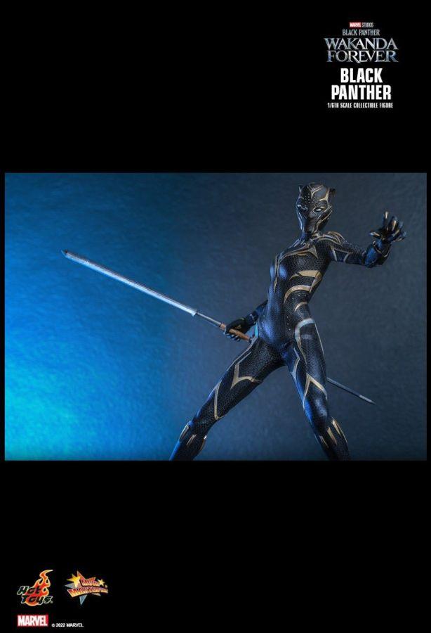 HOTMMS675 Black Panther 2: Wakanda Forever - Black Panther 1:6 Scale Figure - Hot Toys - Titan Pop Culture