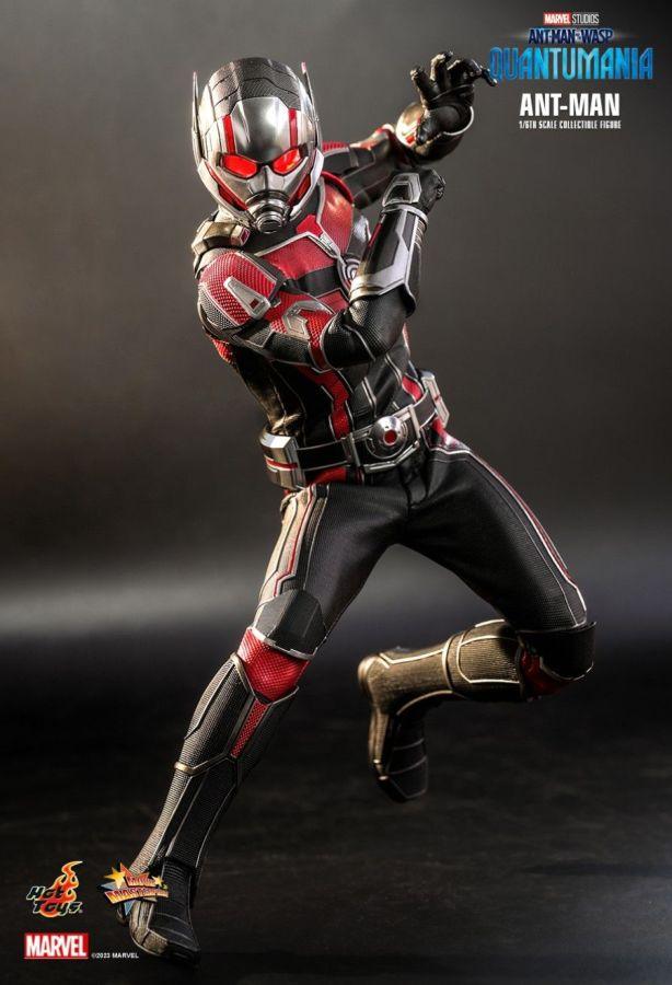 HOTMMS690 Ant-Man and the Wasp: Quantumania - Ant-Man 1:6 Scale Action Figure - Hot Toys - Titan Pop Culture