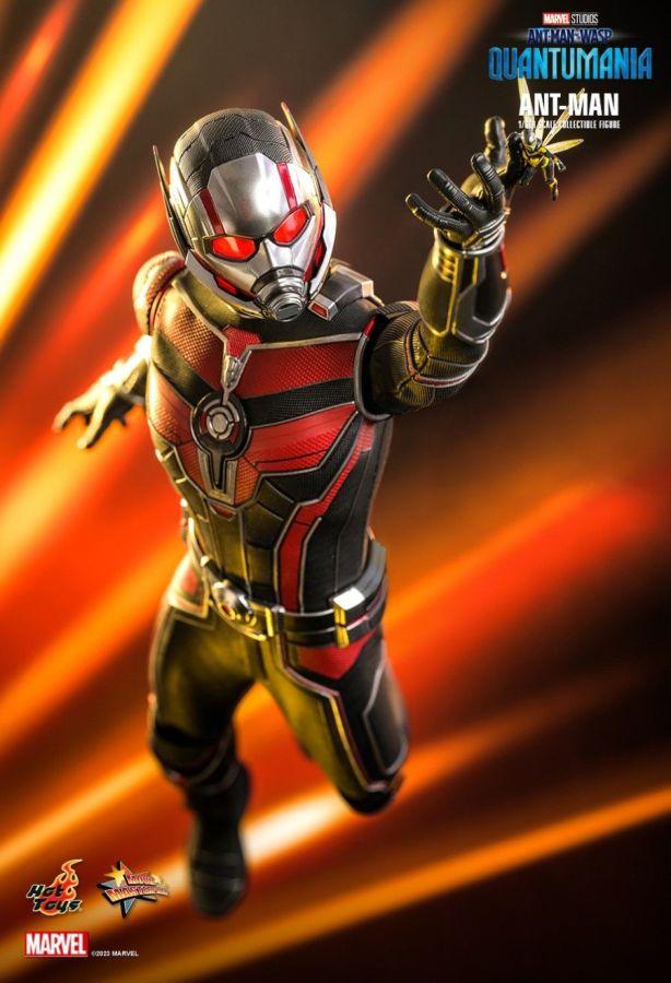 HOTMMS690 Ant-Man and the Wasp: Quantumania - Ant-Man 1:6 Scale Action Figure - Hot Toys - Titan Pop Culture