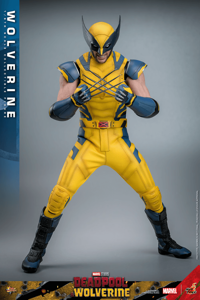HOTMMS753 Deadpool & Wolverine - Wolverine 1:6 Figure - Hot Toys - Titan Pop Culture