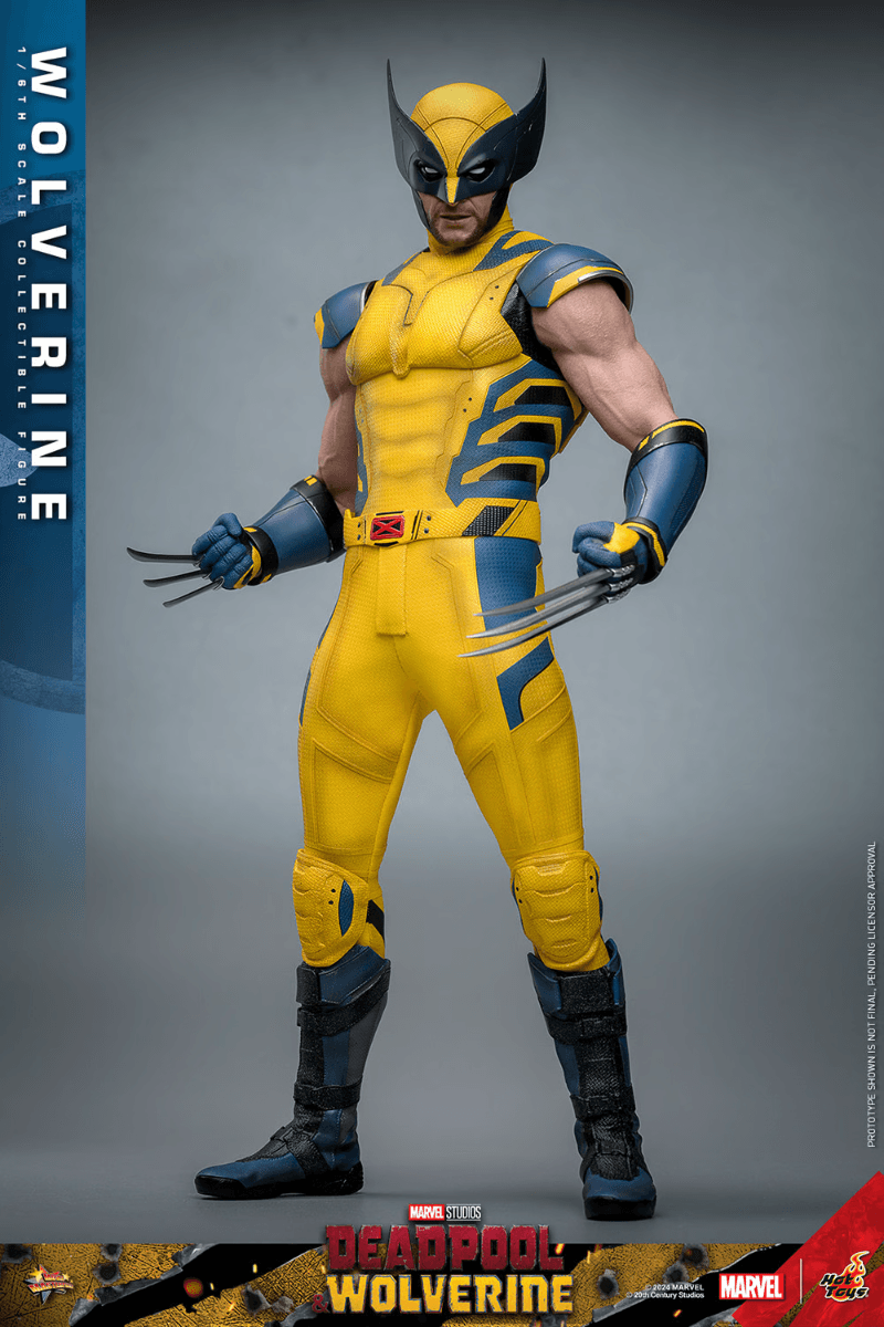 HOTMMS753 Deadpool & Wolverine - Wolverine 1:6 Scale Collectable Action Figure - Hot Toys - Titan Pop Culture