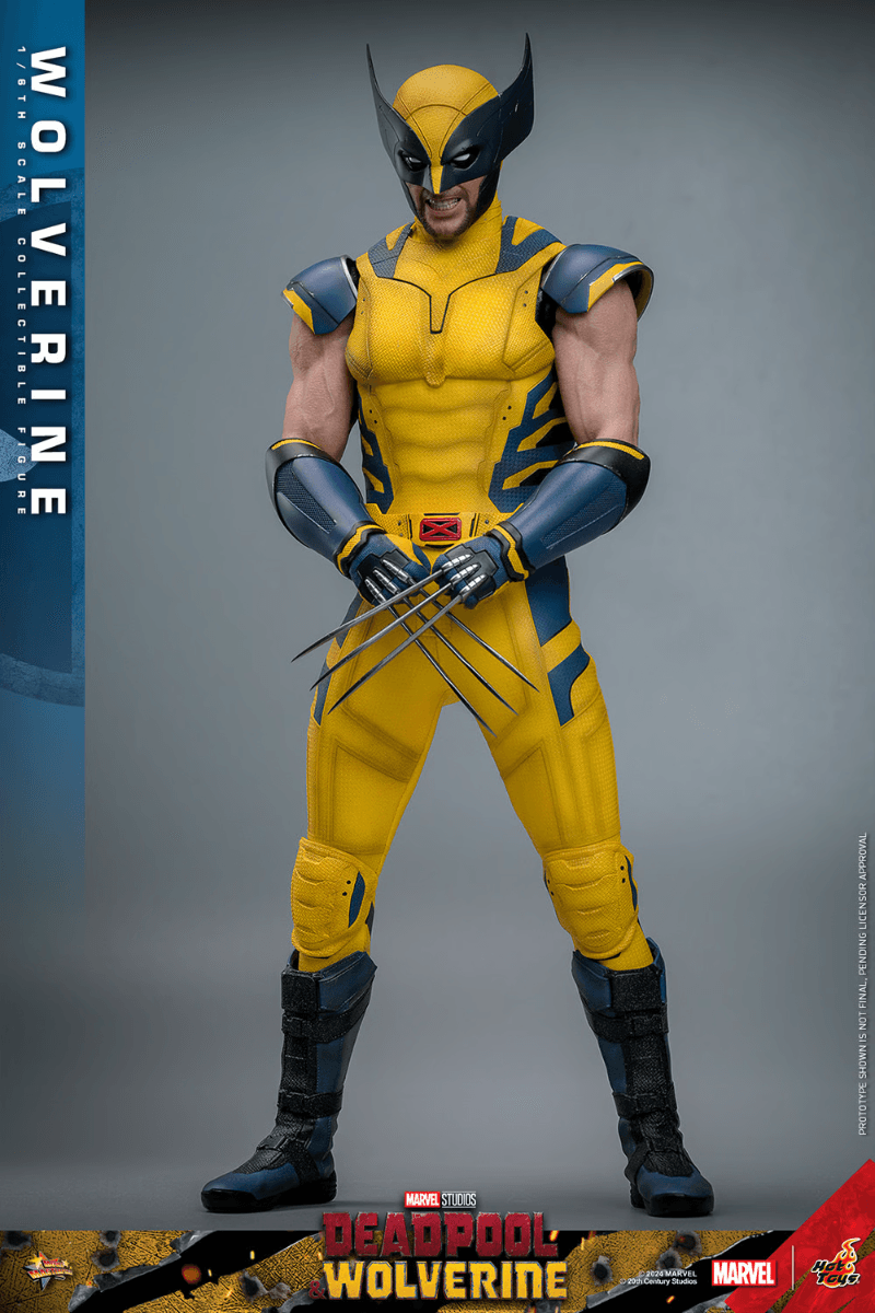 HOTMMS753 Deadpool & Wolverine - Wolverine 1:6 Scale Collectable Action Figure - Hot Toys - Titan Pop Culture