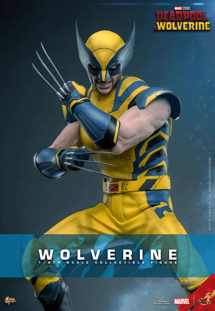 HOTMMS753 Deadpool & Wolverine - Wolverine 1:6 Scale Collectable Action Figure - Hot Toys - Titan Pop Culture