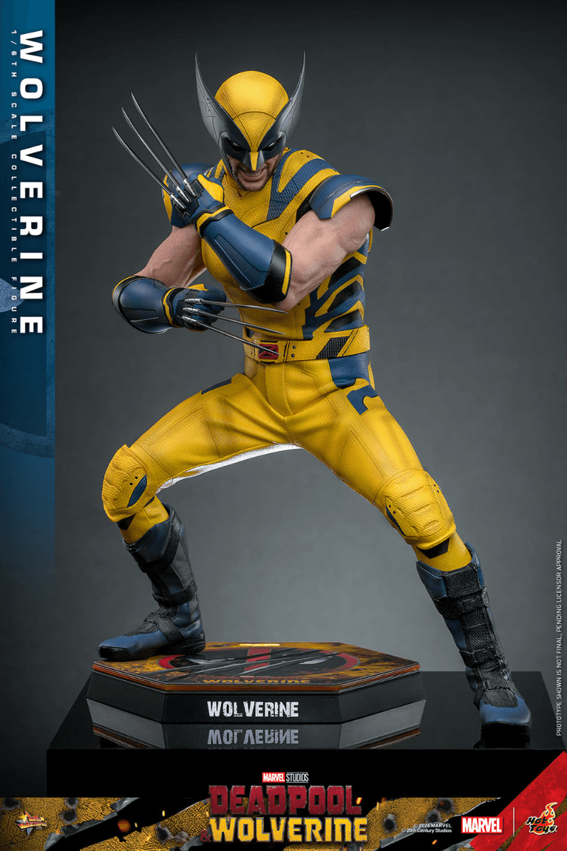 HOTMMS753 Deadpool & Wolverine - Wolverine 1:6 Scale Collectable Action Figure - Hot Toys - Titan Pop Culture