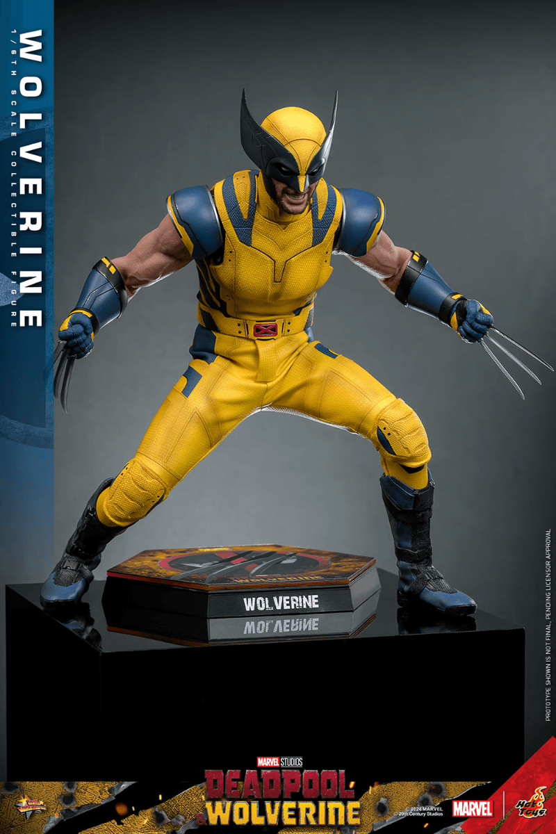 HOTMMS753 Deadpool & Wolverine - Wolverine 1:6 Scale Collectable Action Figure - Hot Toys - Titan Pop Culture