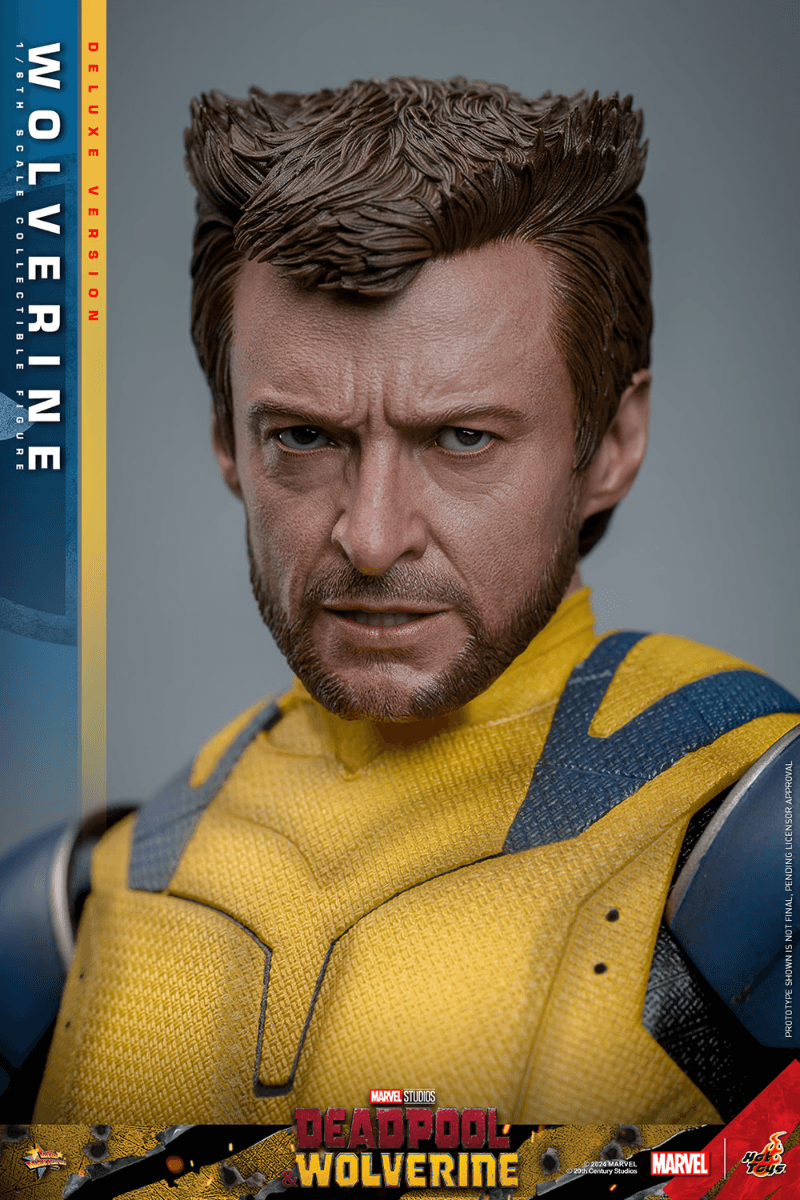 HOTMMS754 Deadpool & Wolverine - Wolverine Deluxe 1:6 Figure - Hot Toys - Titan Pop Culture