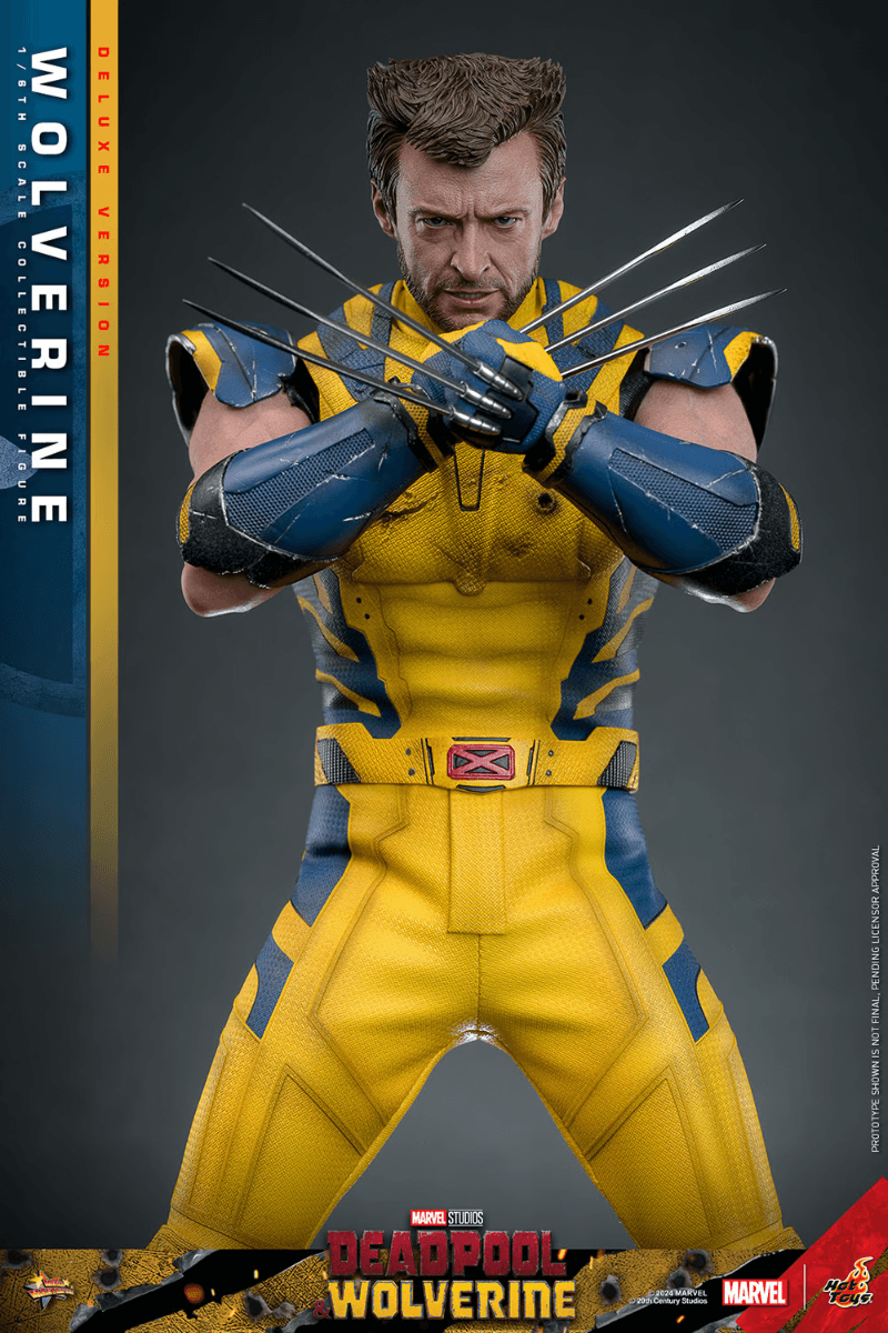 HOTMMS754 Deadpool & Wolverine - Wolverine Deluxe 1:6 Figure - Hot Toys - Titan Pop Culture