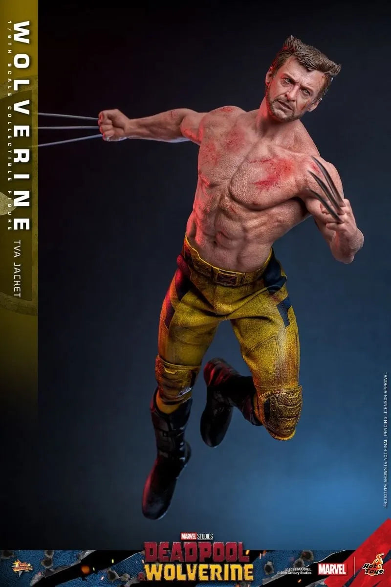 HOTMMS756 Deadpool & Wolverine - Wolverine (TVA Jacket) 1:6 Scale Collectable Action Figure - Hot Toys - Titan Pop Culture