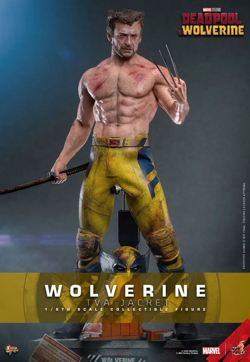 HOTMMS756 Deadpool & Wolverine - Wolverine (TVA Jacket) 1:6 Scale Collectable Action Figure - Hot Toys - Titan Pop Culture