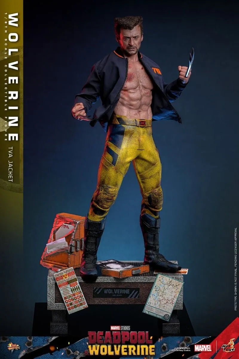 HOTMMS756 Deadpool & Wolverine - Wolverine (TVA Jacket) 1:6 Scale Collectable Action Figure - Hot Toys - Titan Pop Culture