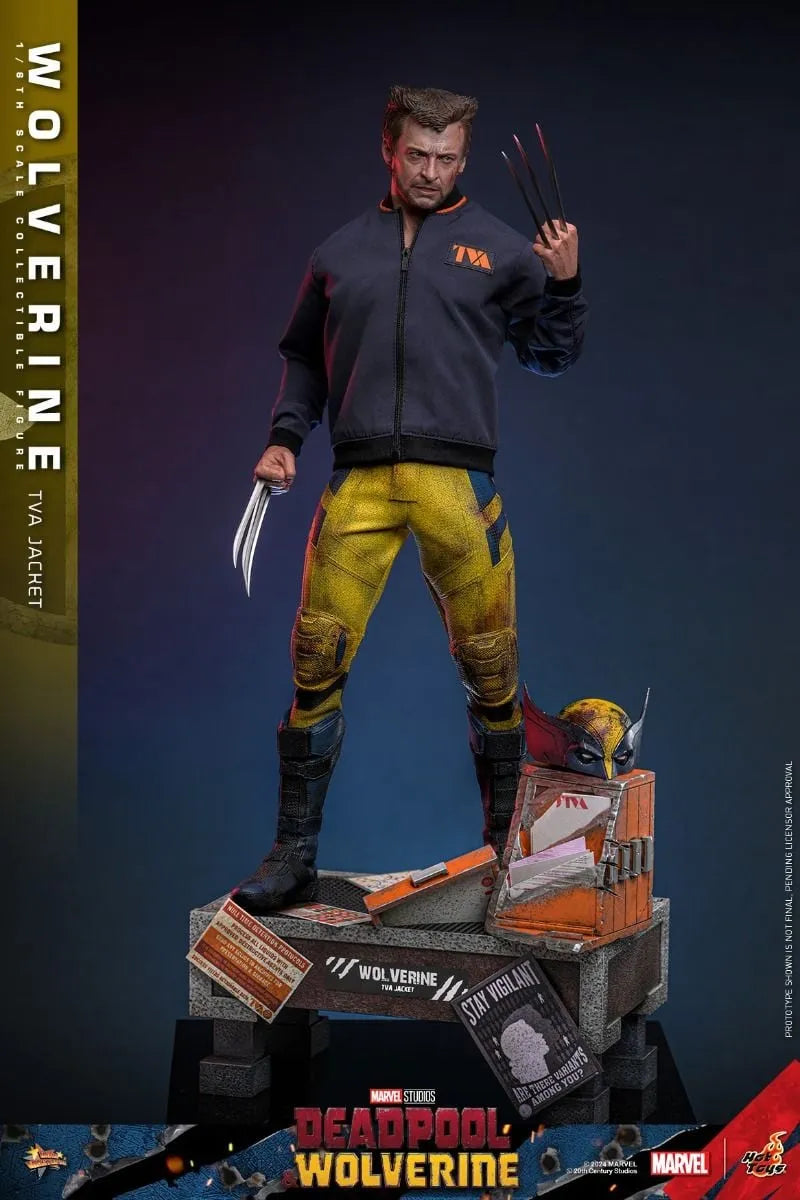 HOTMMS756 Deadpool & Wolverine - Wolverine (TVA Jacket) 1:6 Scale Collectable Action Figure - Hot Toys - Titan Pop Culture