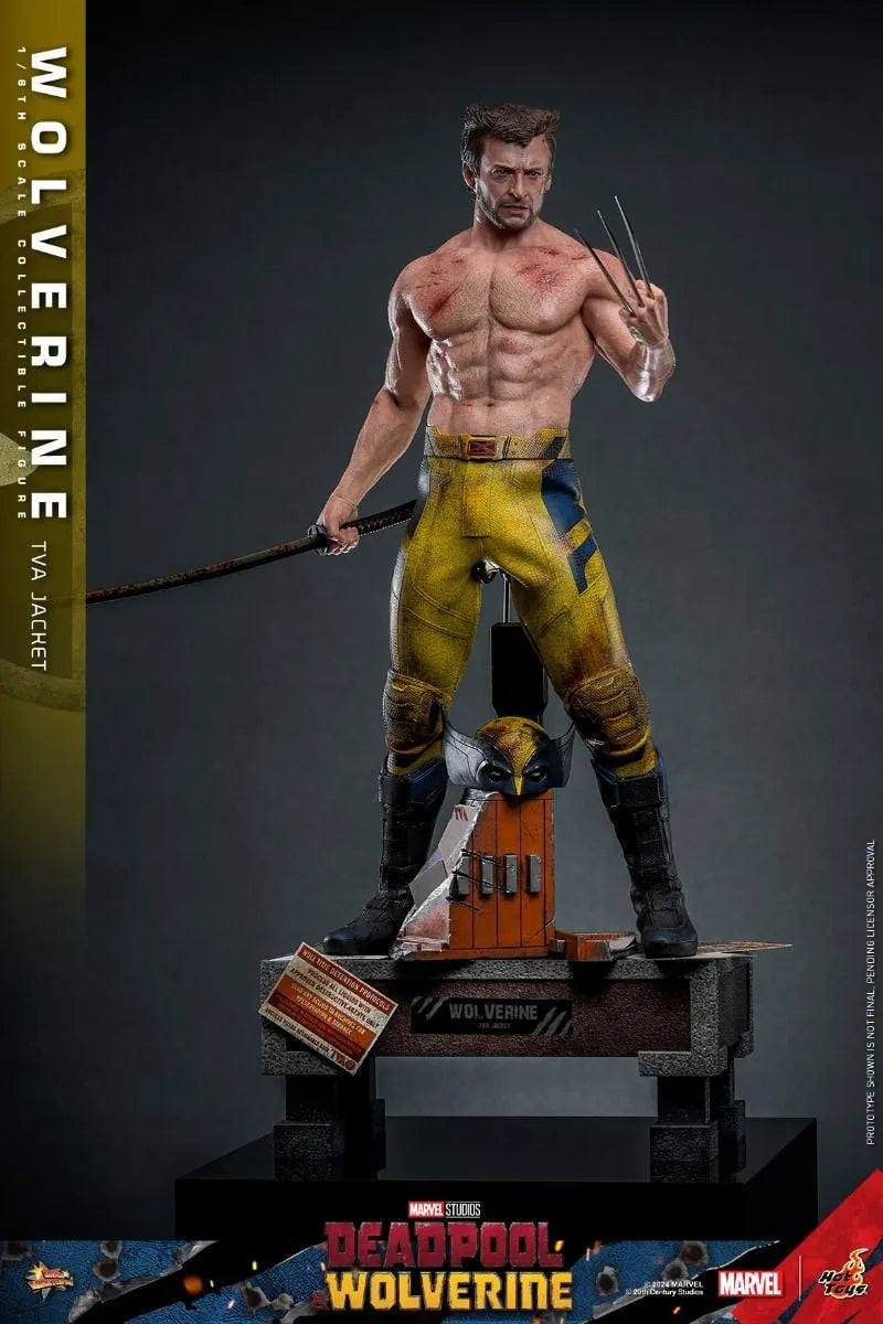 HOTMMS756 Deadpool & Wolverine - Wolverine (TVA Jacket) 1:6 Scale Collectable Action Figure - Hot Toys - Titan Pop Culture