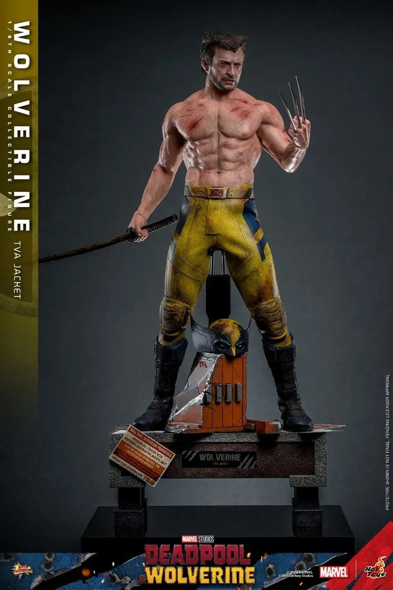 HOTMMS756 Deadpool & Wolverine - Wolverine (TVA Jacket) 1:6 Scale Collectable Action Figure - Hot Toys - Titan Pop Culture