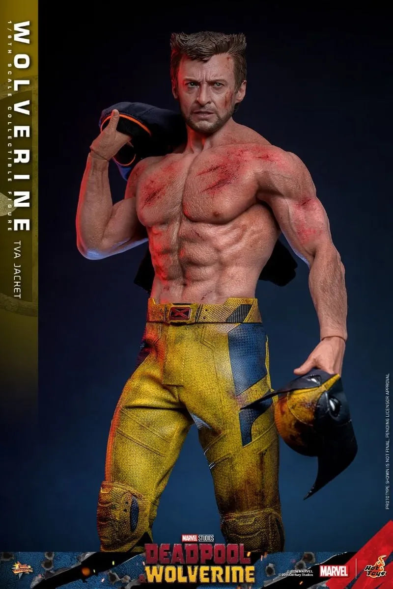 HOTMMS756 Deadpool & Wolverine - Wolverine (TVA Jacket) 1:6 Scale Collectable Action Figure - Hot Toys - Titan Pop Culture