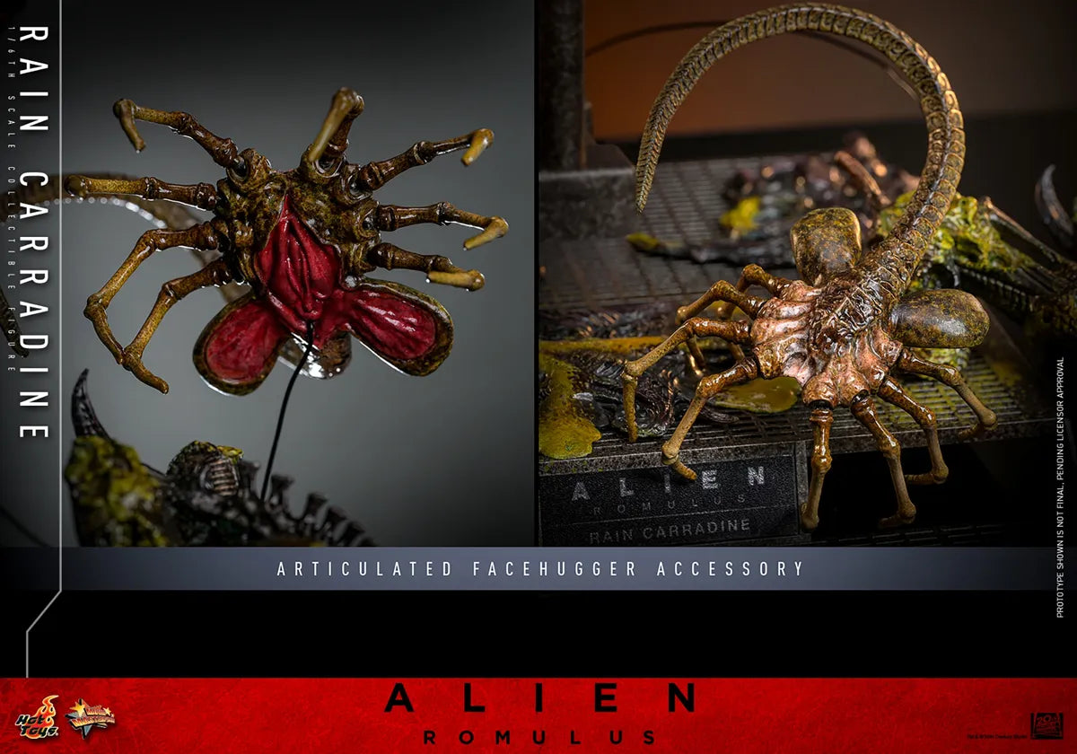 HOTMMS793 Alien: Romulus - Rain Carradine 1:6 Scale Collectable Action Figure - Hot Toys - Titan Pop Culture