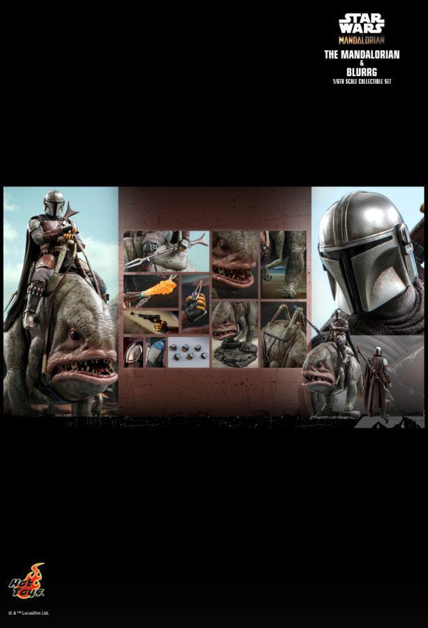 HOTTMS046 Star Wars: The Mandalorian - Mandalorian & Blurrg 1:6 Scale Action Figure Set - Hot Toys - Titan Pop Culture