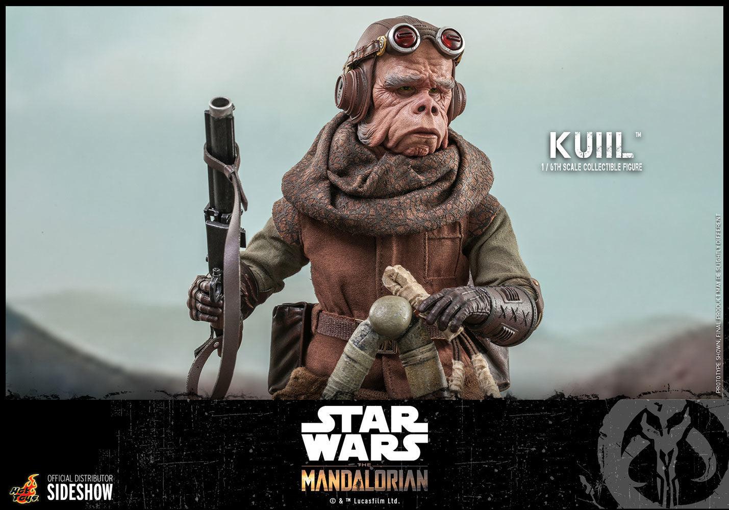 HOTTMS048 Star Wars: Mandalorian - Kuiil 1:6 Scale Action Figure - Hot Toys - Titan Pop Culture