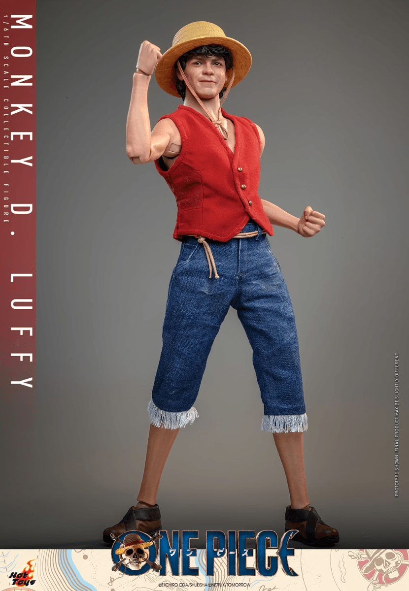 HOTTMS109 One Piece (2023) - Monkey D. Luffy 1:6 Scale Collectable Action Figure - Hot Toys - Titan Pop Culture