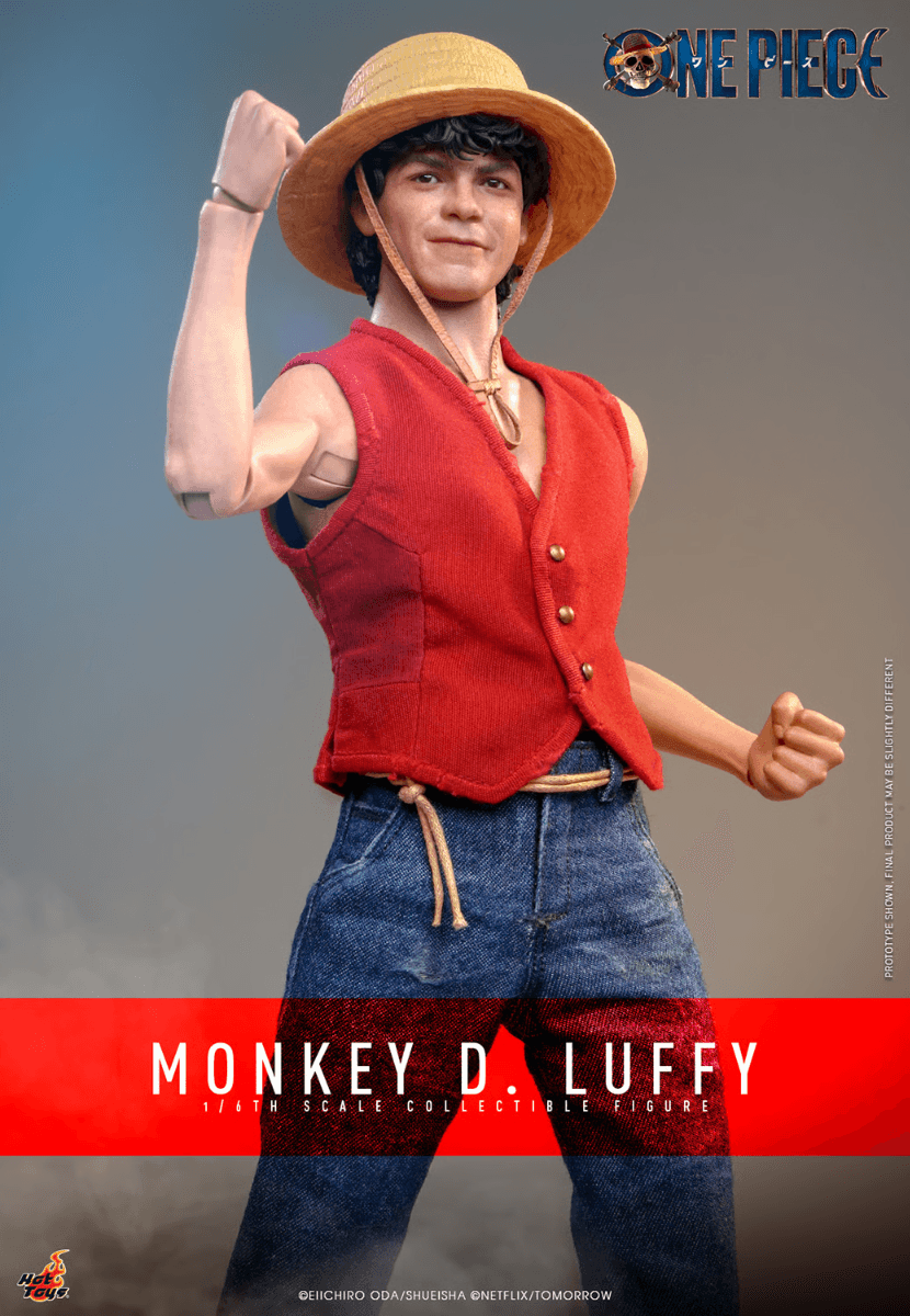 HOTTMS109 One Piece (2023) - Monkey D. Luffy 1:6 Scale Collectable Action Figure - Hot Toys - Titan Pop Culture